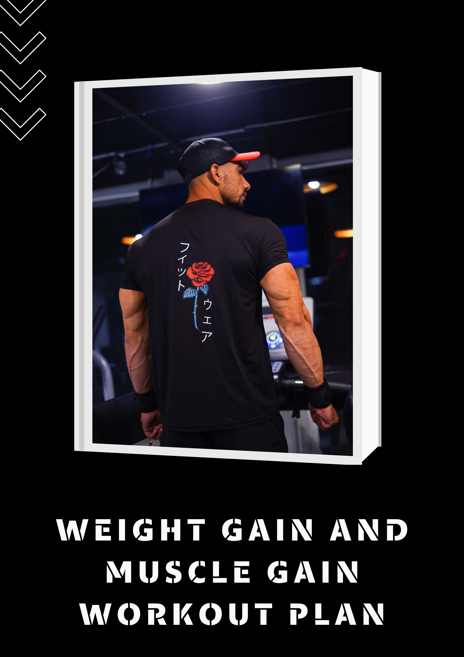 Weight gain and Muscle gain workout Plan